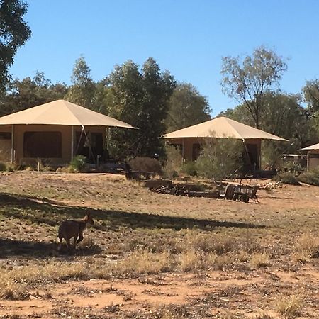Squeakywindmill Boutique Tent B&B Alice Springs Luaran gambar