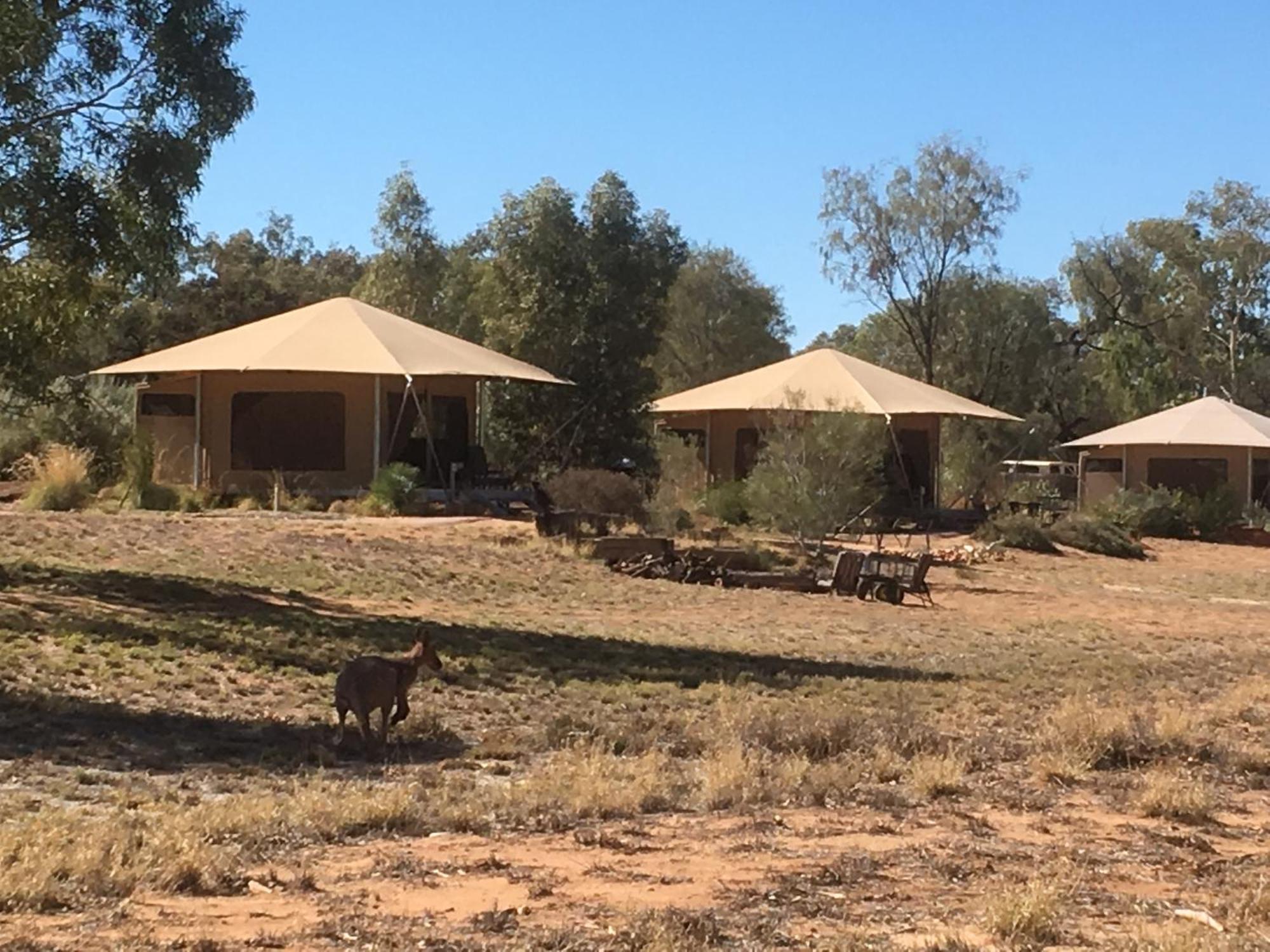 Squeakywindmill Boutique Tent B&B Alice Springs Luaran gambar