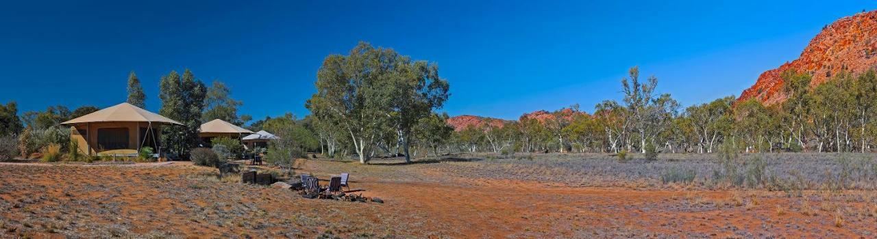 Squeakywindmill Boutique Tent B&B Alice Springs Luaran gambar